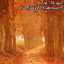 Cinundorc Collection 5 cover