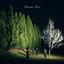 Bennetts Grove - Mourning Star