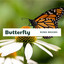 Canyon View Credit Union - GetOutRadio30
