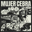 Album cover of CLASE B by Mujer Cebra