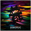 4U cover