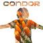 Cóndor cover