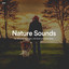 #01 Nature Sounds for Peaceful Moments, Life Goals and Deep Sleep cover
