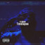 Timelapse cover