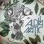 Alphamatic cover