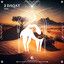 3 Daqat cover