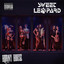 Sweet Leopard - I Don’t Wanna See You Again