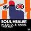 Soul Healer - Extended Mix
