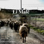 Bihara Li Benda Berdilê cover
