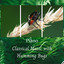 Piano: Classical Music with Humming Bugs cover