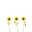 Girasoles cover