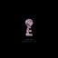 The Key cover