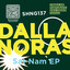 Dallanoras — Sat Nam (Cirqular Remix) cover art