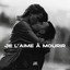 Je l'aime à mourir - Remix
