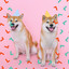 Dashing Backdrop for Doggy Daycare cover