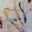 Watercolors