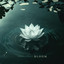 Nomyn - Bloom