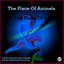 The Places Of Animals - Remix