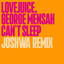 Can't Sleep - Joshwa Extended Remix