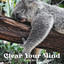 Sleep Music: Clear Your Mind cover