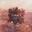 Aurora cover