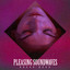 Pleasing Soundwaves cover