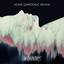 Home - Zardonic \'Liquid Fiction\' Remix artwork