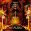 Shalom cover