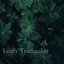 Mossy Pathways cover
