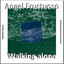 Walking alone cover