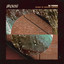 What Is House Muzik - Ricardo Villalobos What Is Remix