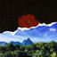 Winter in St Lucia cover