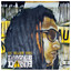 Damage Is Done cover