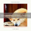 Calming Woods Noises For Stressed, Perfect Dogs cover