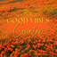 Good Vibes Country cover