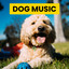 Sleepy & Tired Pets Music cover
