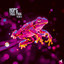 Tree Frog - Vocal
