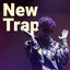 New Trap cover