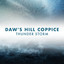Daw's Hill Coppice Thunderstorm cover