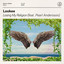 Losing My Religion (feat. Pearl Andersson) - Extended Mix
