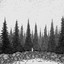 Forgotten Kings cover
