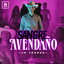 Sangre Avendaño