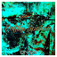 Softly Spoken artwork