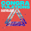 Gabriel Boni, Kiko Franco - Congratulations - Original mix