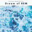 A Dream of REM cover