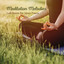 Meditation Melodies: Lofi Beats for Inner Peace cover