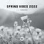 Spring Vibes 2022 (DJ Mix) cover