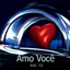 Amo Você Vol. 12 cover