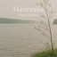 ARMONIA 10 ft LOS HISTORICOS - SIDI MANSOUR