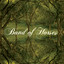 Band Of Horses - Our Swords